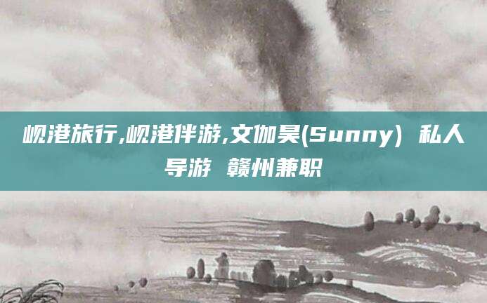 阜新岘港旅行,岘港伴游,文伽昊(Sunny) 私人导游 赣州兼职