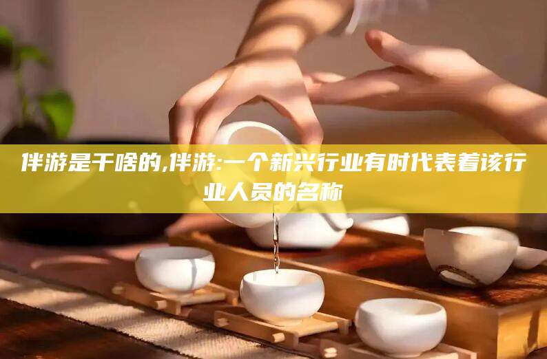 阜新伴游是干啥的,伴游:一个新兴行业有时代表着该行业人员的名称
